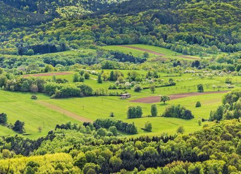 Hessen soll klimaneutral werden