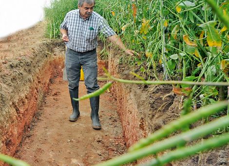Winter- und Sommerungen im Wechsel anbauen