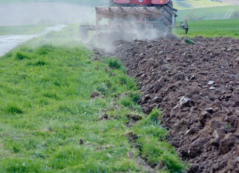 Heilungsregelung zur Umwandlung von Grünland