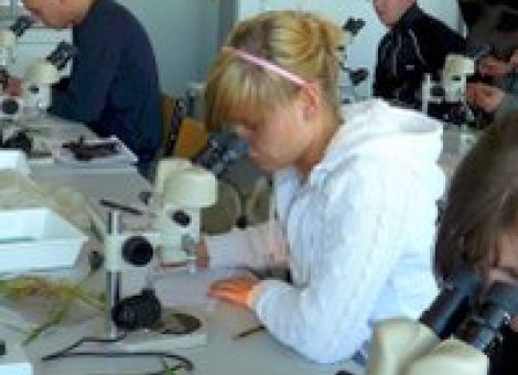 Durchblick im Agrarstudium