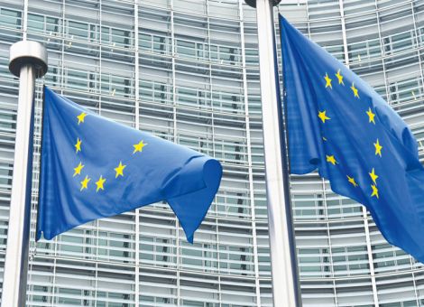 Rund 320 000 Eingaben zur Zukunft der EU-Agrarpolitik