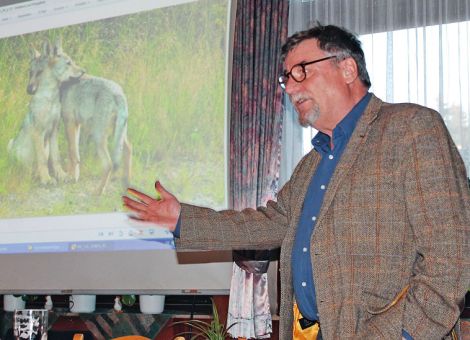Ist die Rückkehr der Wölfe mit der Weidewirtschaft vereinbar?