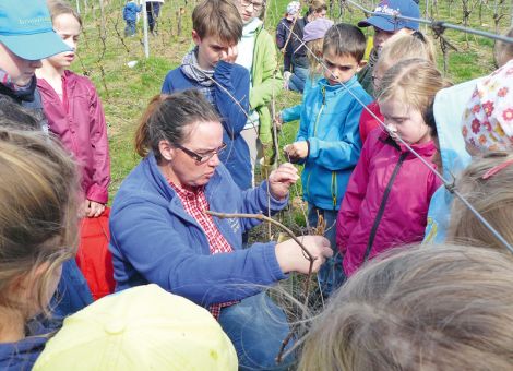 Mit dem Kinderwingert Interesse wecken