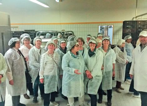 Der Weg vom Getreide bis zum Brot