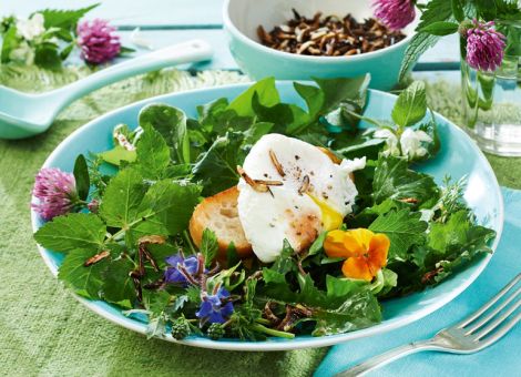 Frühlingssalat mit pochiertem Ei und geröstetem Wildreis