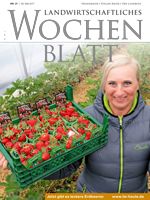 Ausgabe 21/2017