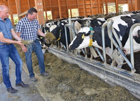 Tierhaltung hat sich wesentlich verbessert