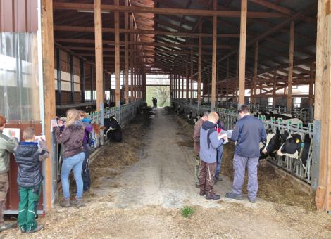 Praxistag für die angehenden Landwirte im Milchviehbetrieb