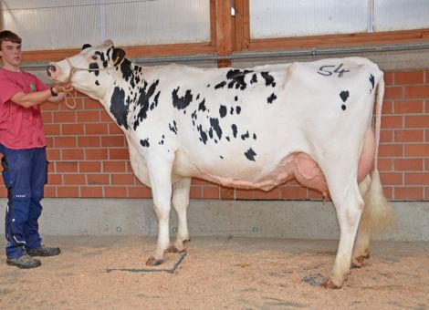 Betriebsauslese Horst Ritter im Blickpunkt