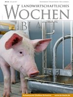 Ausgabe 26/2017