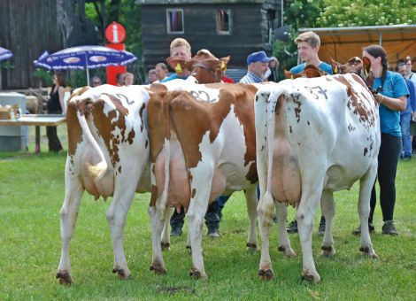 Mit Erfolg beim Prämienmarkt in Lauterbach aufgetreten
