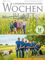 Ausgabe 28/2017 Ausgabe 28/2017