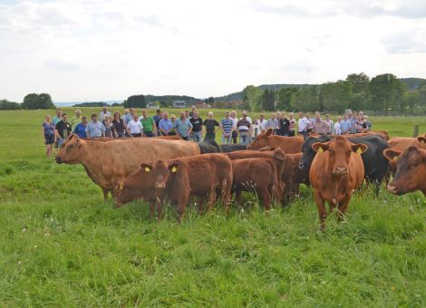 Angus-Rinder aus Hessen  sind besonders erfolgreich