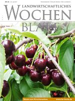 Ausgabe 29/2017 Ausgabe 29/2017