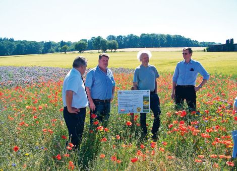 17 Hektar für die Bienen
