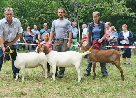 Geringer Auftrieb mit hoher Qualität