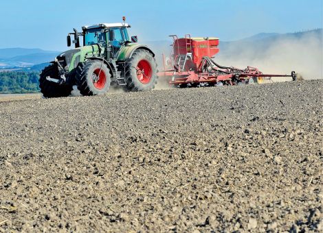 Winterraps-Bestellung bienenschonend vornehmen