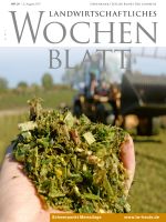 Ausgabe 31/2017 Ausgabe 31/2017