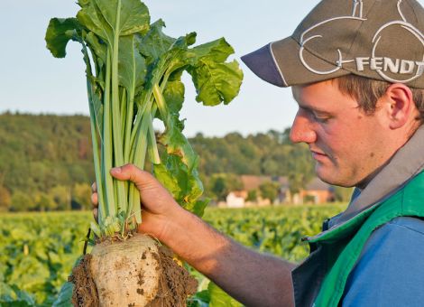EU-Zuckerexporte dürften langfristig kräftig wachsen