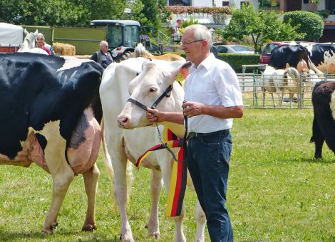 Bestes Schaufenster der erfolgreichen Tierzucht