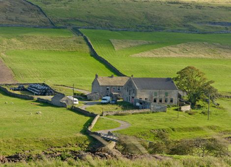 Farmer wollen Klarheit über britische Agrarpolitik