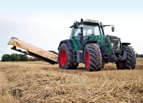 Im Herbst den Boden für die Rübe bereiten