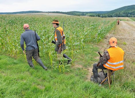 Erntejagd: Wenn der Häcksler die Signalleuchten anstellt