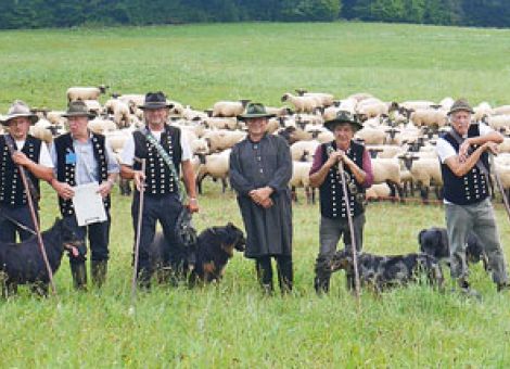 Hessens beste Leistungshüter ermittelt