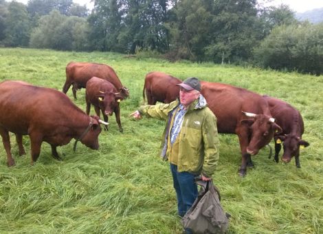 Das Rote Höhenvieh erhalten  und züchterisch fortentwickleln