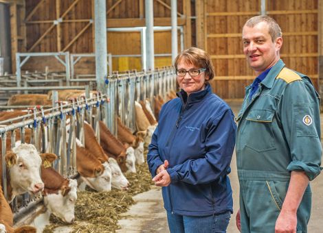 Zuversicht der Landwirte wieder gestiegen