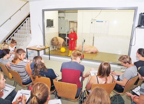 Lehre, Forschung und Praxis unter einen Hut bringen