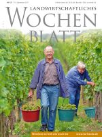 Ausgabe 37/2017 Ausgabe 37/2017