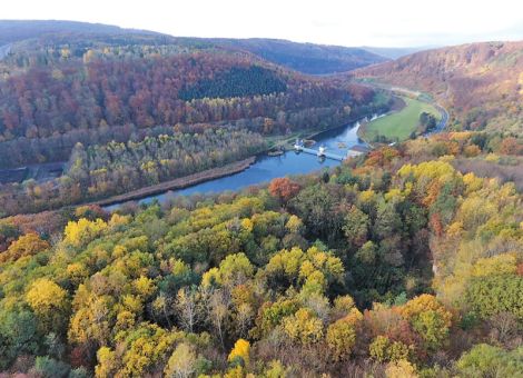 Deutscher Wald in gutem Zustand