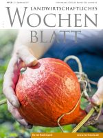 Ausgabe 38/2017 Ausgabe 38/2017
