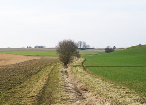 Landwirtschaft hat Mehrkosten von 5,2 Mrd. Euro