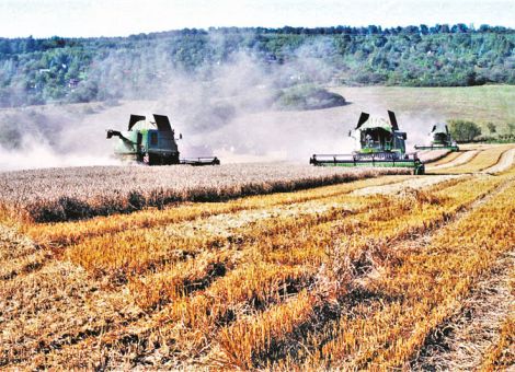 Ernte im Ausnahmezustand