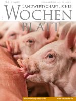 Ausgabe 41/2017 Ausgabe 41/2017