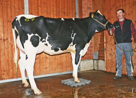 Klein aber fein – gute Qualitäten in Alsfeld