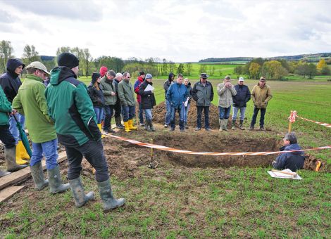 „Zwischenfrüchte passen nicht  ins Greening“