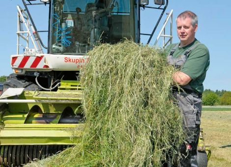 Hohe Restzuckergehalte in den hessischen Grassilagen