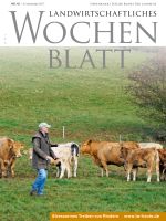 Ausgabe 45/2017 Ausgabe 45/2017