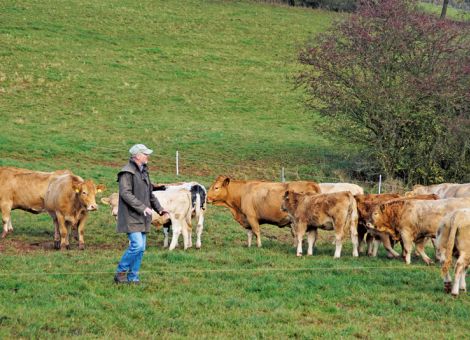 Tiere stressfrei von A nach B bringen