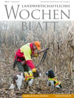Ausgabe 49/2017 Ausgabe 49/2017