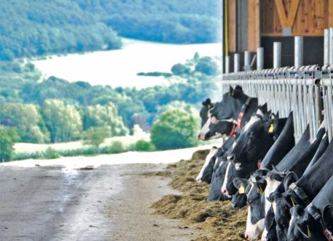 Es kommt noch einiges auf die Landwirte zu