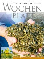 Ausgabe 50/2017 Ausgabe 50/2017