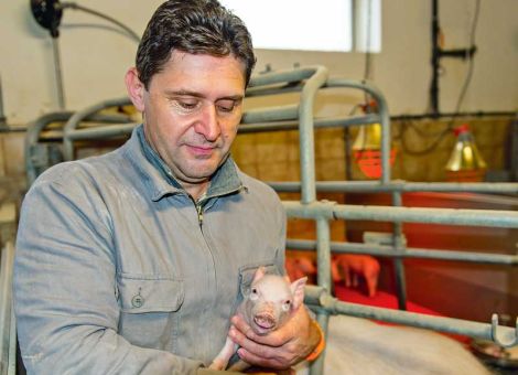 Lokalanästhesie ist ein gangbarer Weg für die Praxis