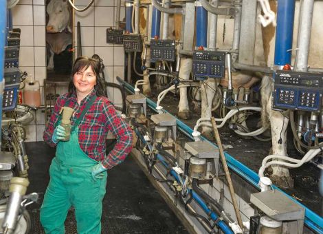 Hessische Kühe gaben im Schnitt 206 kg weniger Milch