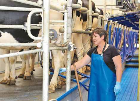 MLP-Daten sind ein gutes Frühwarnsystem