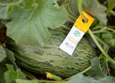 Fruit logistica – die Plattform des Obst- und Gemüsehandels