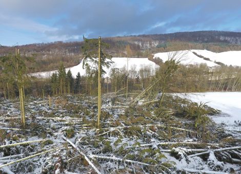 Nach dem Sturm kommt das Aufräumen